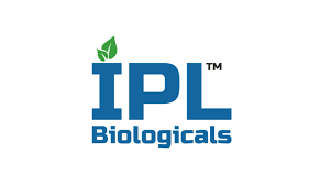 IPL
